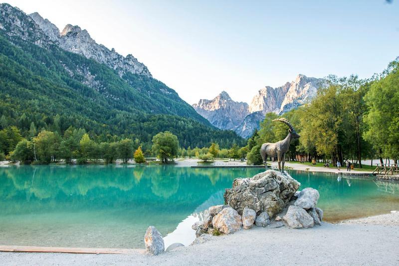 Bor In Bor Luxury Apartment With Sauna & Garden - Kranjska Gora Ngoại thất bức ảnh